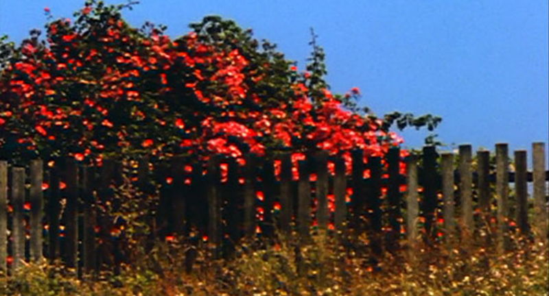 films Of the Outside, watched In the Outside