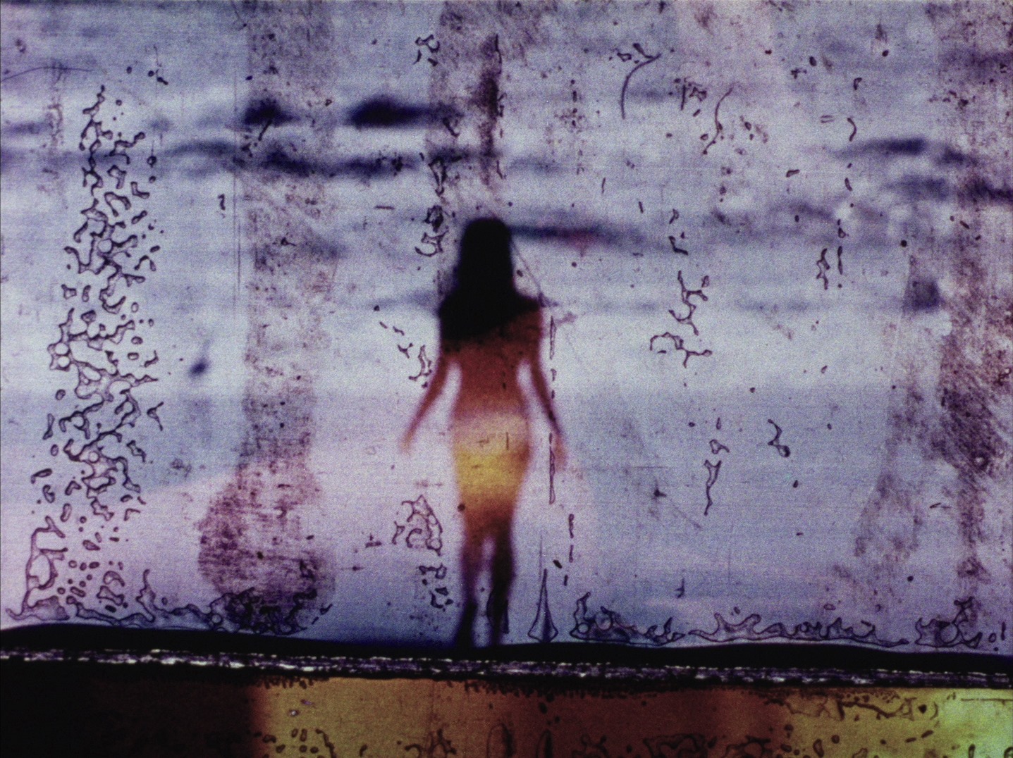 The Body